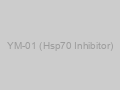 YM-01 (Hsp70 Inhibitor)